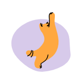 Microchipagem
